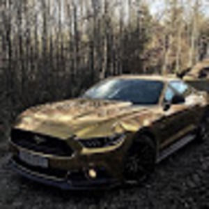 Meet your Posher, Cody